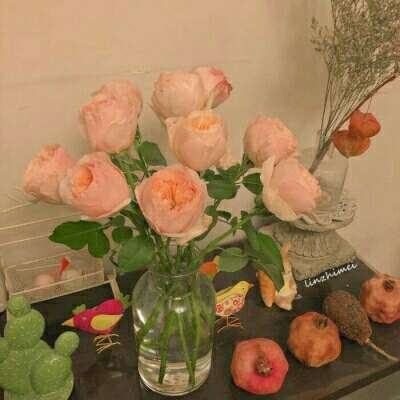 196体育(官方)APP下载安装